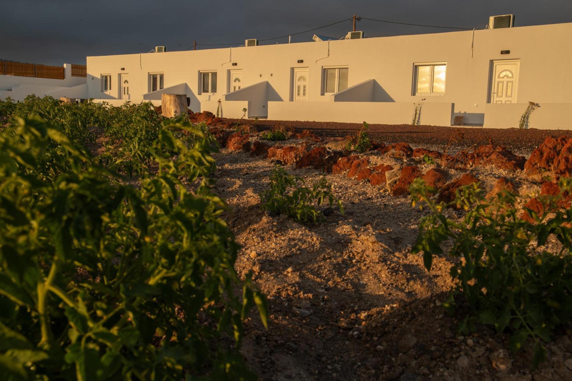 Calma Eco Houses Sunset View Emporio  エクステリア 写真